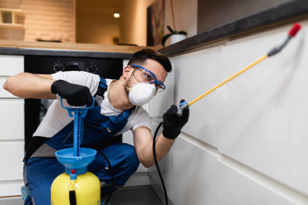 Best Rat Extermination Near Me  in Newcomerstown, OH