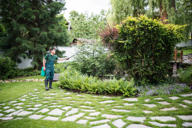 Best Mosquito Control Services  in Newcomerstown, OH