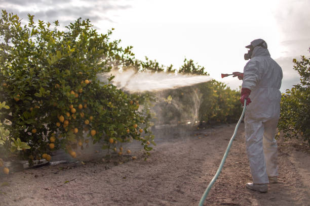 Best Affordable Pest Control Services  in Newcomerstown, OH