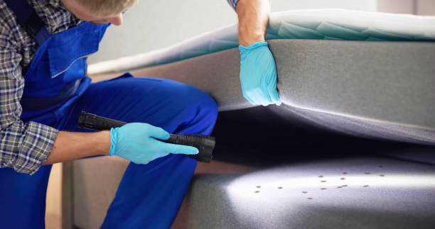 Best Best Pest Control Companies  in Newcomerstown, OH