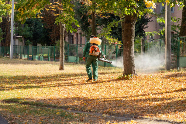 Best Insect Control  in Newcomerstown, OH