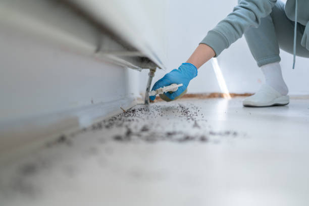 Best Commercial Pest Control Services  in Newcomerstown, OH
