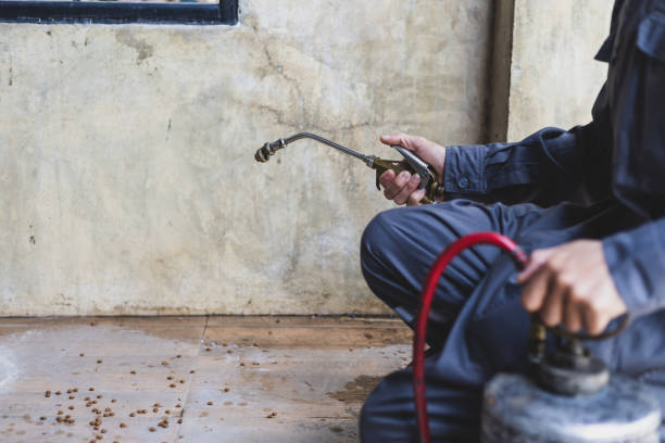 Best Pest Control for Homes  in Newcomerstown, OH
